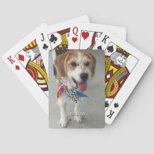 Foto und Name des Tieres Spielkarten