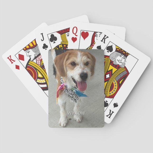 Foto und Name des Tieres Spielkarten (Rückseite)