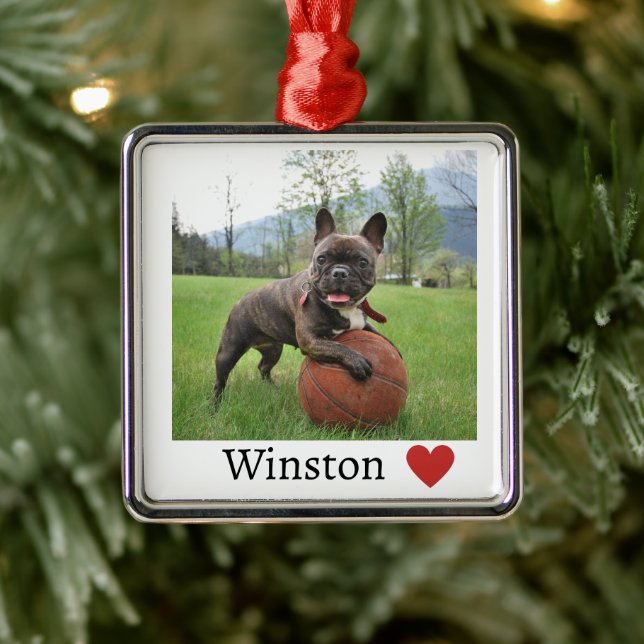Foto und Name Französischer Bulldog Hund Ornament Aus Metall (Baum)
