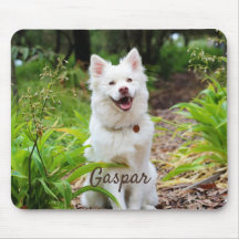 Foto und Name Personalisiert