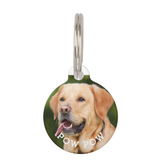 Foto und Name Pet-Tag Haustiermarke