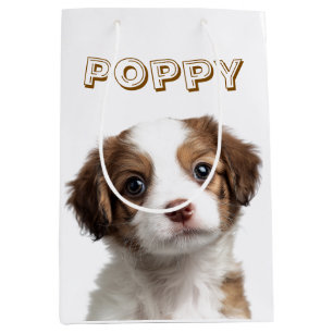 Foto und Namensschild für Hunde Mittlere Geschenktüte