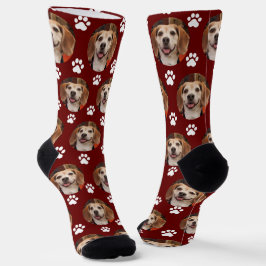 Foto- und Paw-Druckköpfe oder Cat Maroon Custom Socken