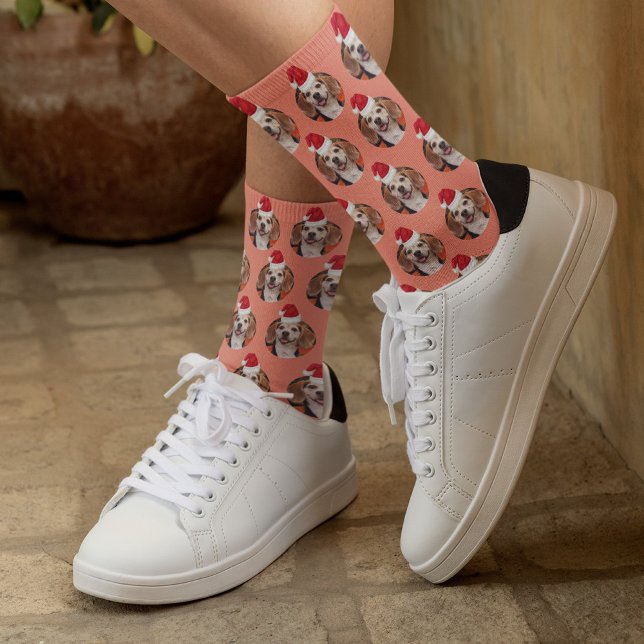 Foto und Weihnachtsmannmützen von Haustieren zu We Socken (Von Creator hochgeladen)