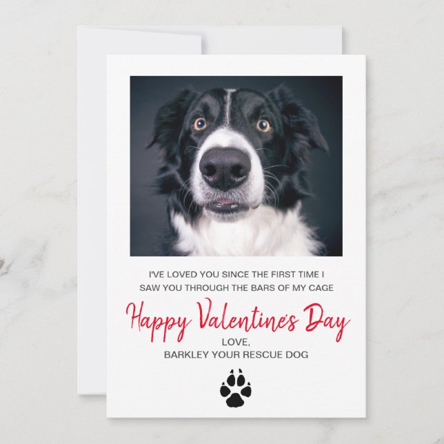 Foto Valentinstag vom Hund Feiertagskarte (Vorderseite)