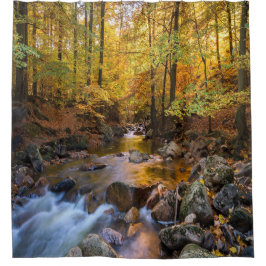 Foto, verzauberter Wald Duschvorhang