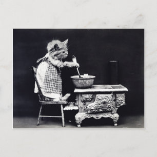 Foto vintage Kätzchen Küche Postkarte