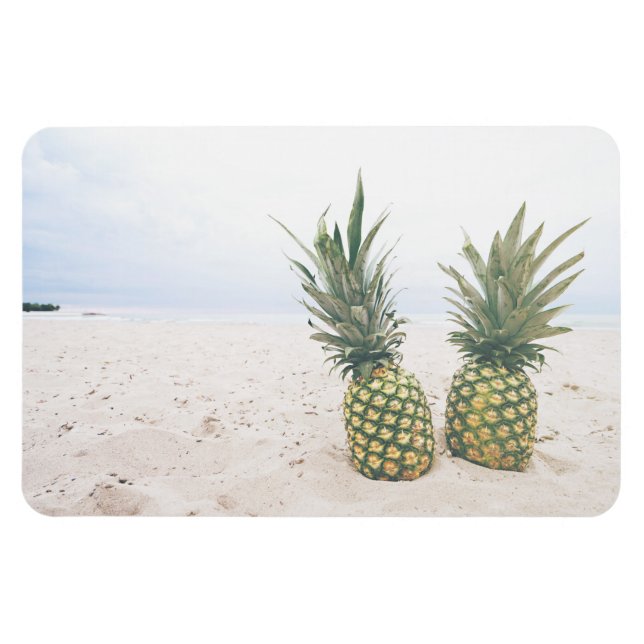 Foto von 2 Ananas am Strand Magnet (Horizontal)