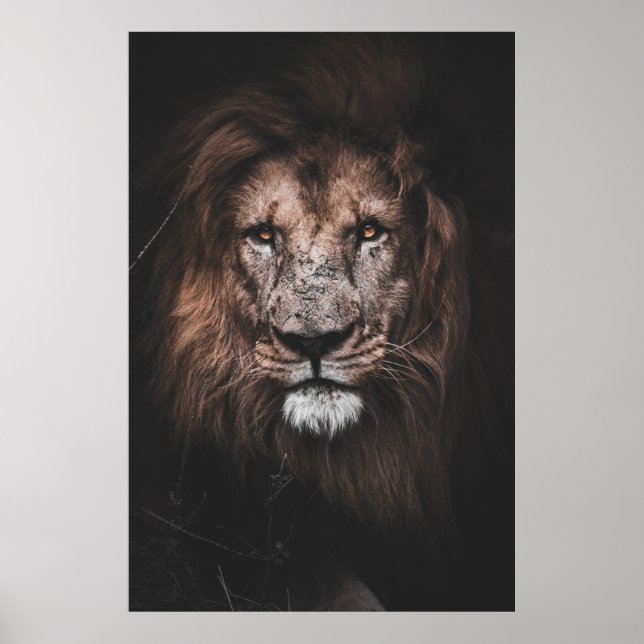 FOTO VON BROWN LION POSTER (Vorne)