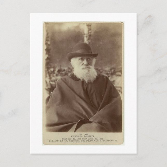 Foto von Charles Darwin, 29. November 1881 Postkarte (Vorderseite)