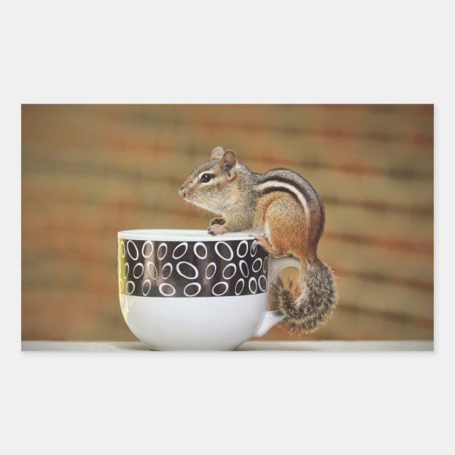 Foto von Chipmunk mit Latte Coffee Cup Rechteckiger Aufkleber (Vorderseite)