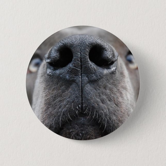 Foto von Deutsche Dogge  Button (Vorderseite)