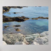 Foto von durchsichtigem Atlantik bei Ebbe