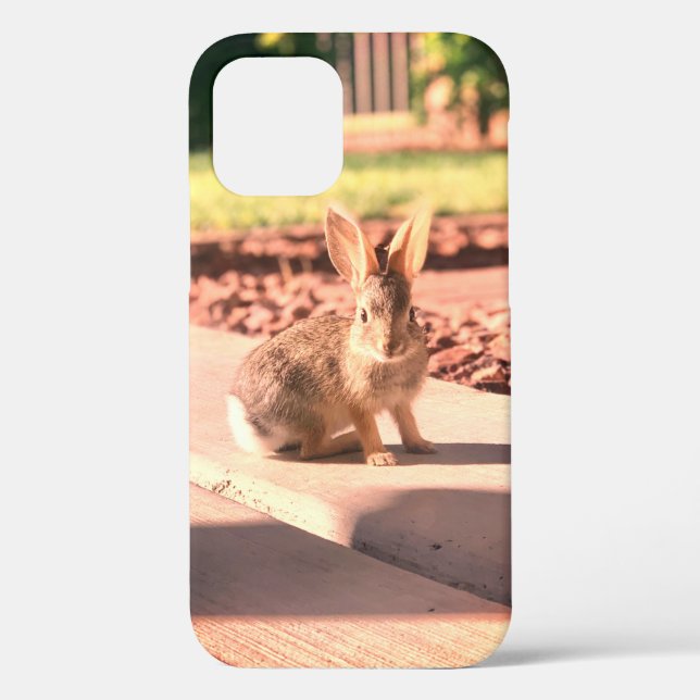 Foto von einem Hasen Ostern Frühling Case-Mate iPhone Hülle (Rückseite)
