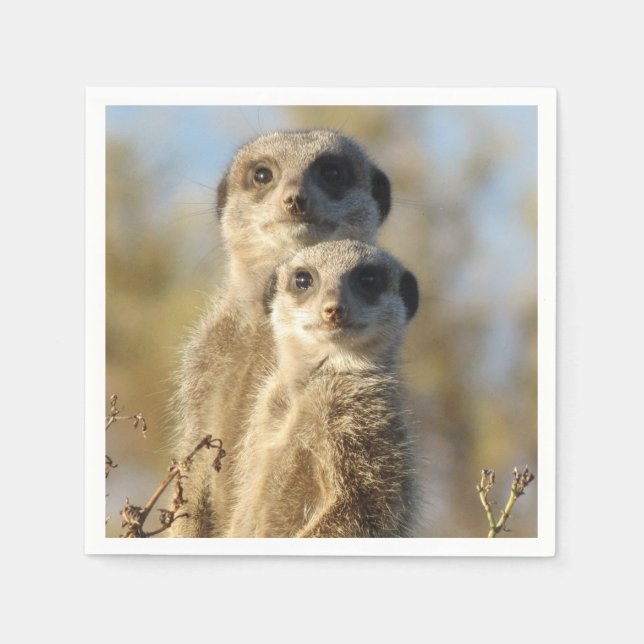 Foto von einem Paar Erdmännchen Serviette (Vorderseite)