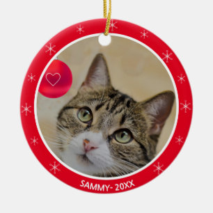 Foto von einer getigerten Katze und Schneeflocken Keramik Ornament