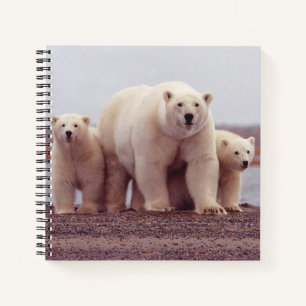 Foto von Eisbär-Mutter und Jungen Notizbuch