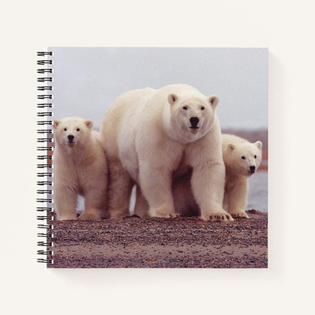 Foto von Eisbär-Mutter und Jungen Notizbuch (Vorderseite)