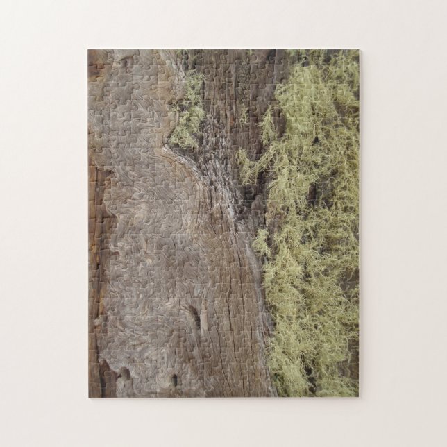 Foto von erwitterter Ponderosa Pine Tree Bark Puzzle (Vertikal)
