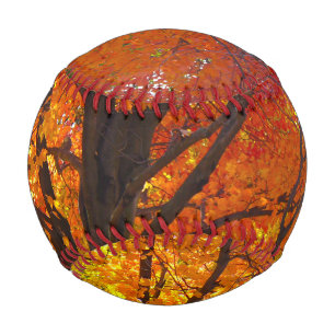 Foto von gelben und orangen Herbstblättern Baseball