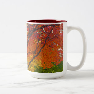 Foto von gelben und orangen Herbstblättern Zweifarbige Tasse