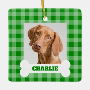 Foto von Hund mit grünem Karo, weißem Knochen und Keramikornament