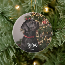 Foto von Hund mit Namens-Textüberlagerung
