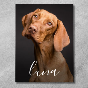 Foto von Hund mit personalisiertem Namen Poster