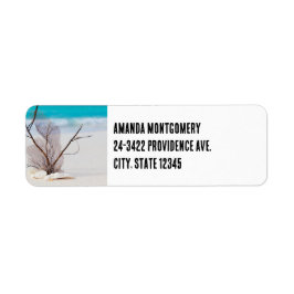 Foto von Muscheln am Sandstrand