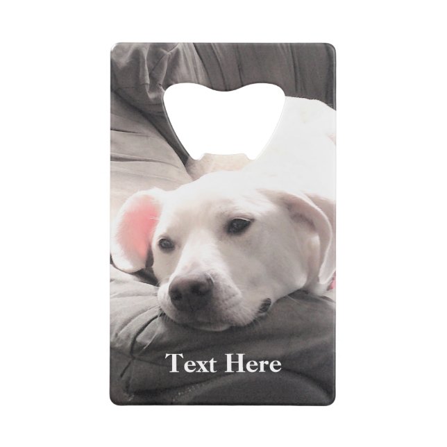 Foto von Niedlichem Lazy White Dog Potato Geldbeutel Flaschenöffner (Vorderseite)