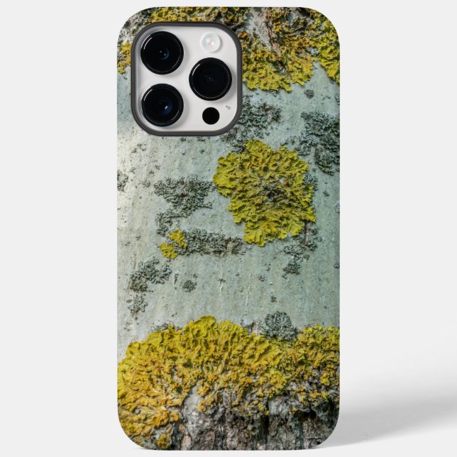 Foto von Real Aspen Tree Bark - Natural Amulet Case-Mate iPhone Hülle (Rückseite)