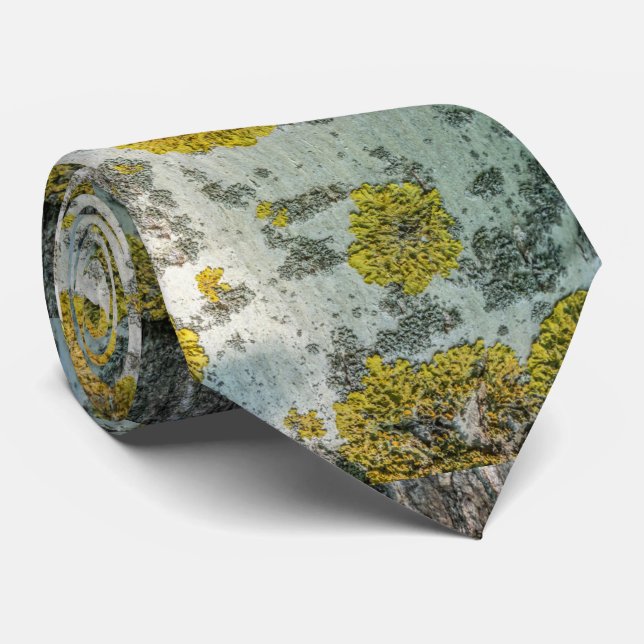 Foto von Real Aspen Tree Bark - Natural Amulet Krawatte (Gerollt)