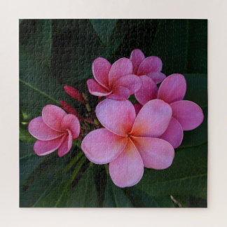 Foto von rosa Plumeria hawaiianische Blume Puzzle