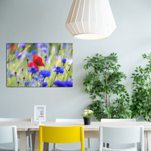 Foto von roten Klatschmohn-Wildblumen Leinwanddruck