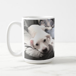 Foto von süßem Hund, der mit seinem besten Freund  Kaffeetasse