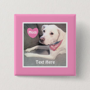 Foto von süßem weißen Labrador-Mischlingshund Pink Button