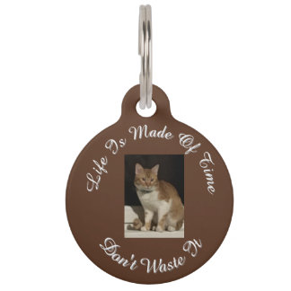 Foto von Vorder- und Rückseite Katze, Text, austau Haustiermarke