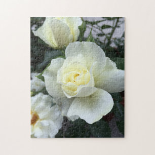 Foto von White Rose Garden Puzzle
