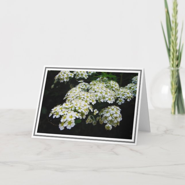 Foto von White Spirea Bush und Green Foliage Karte (Vorderseite)