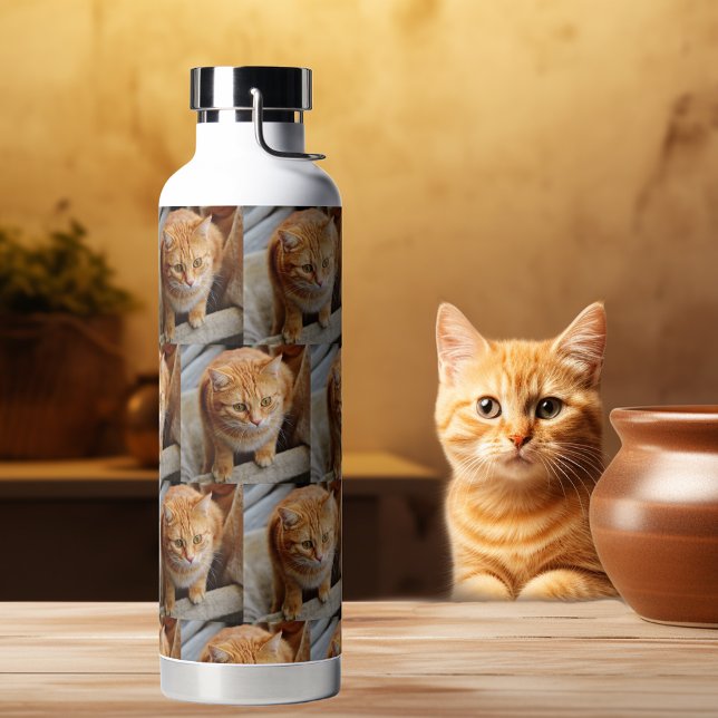 Foto Vorlage für den benutzerdefinierten Hund Katz Trinkflasche (Von Creator hochgeladen)