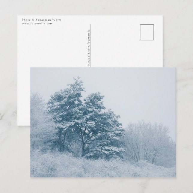 Foto Wald Winter Nature Postkarte (Vorne/Hinten)