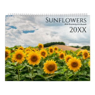 Foto-Wandkalender für Sonnenblumen 2024 Kalender