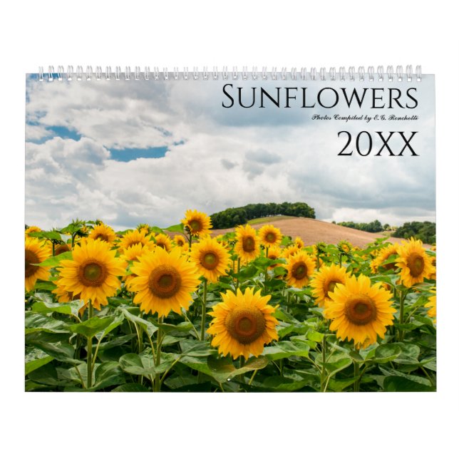Foto-Wandkalender für Sonnenblumen 2025 Kalender (Titelbild)