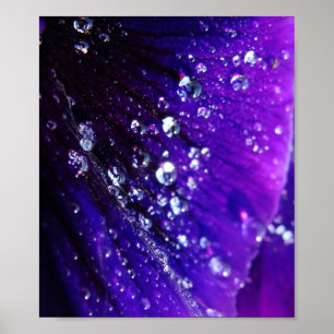Foto Wasser fällt auf lila Blume Poster