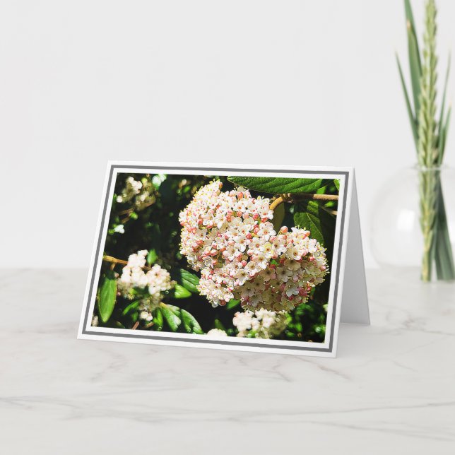 Foto Weißes Viburnum Rosa Buds und Grüne Folien Karte (Vorderseite)