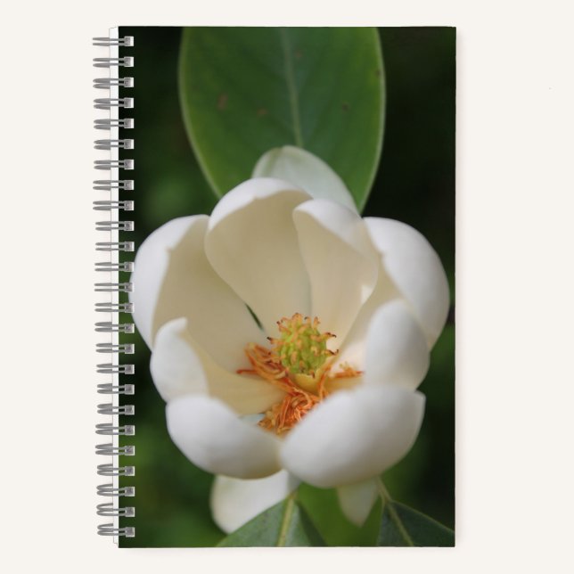Foto White Magnolia Blume Blüte - Zeitschrift Notizbuch (Vorderseite)