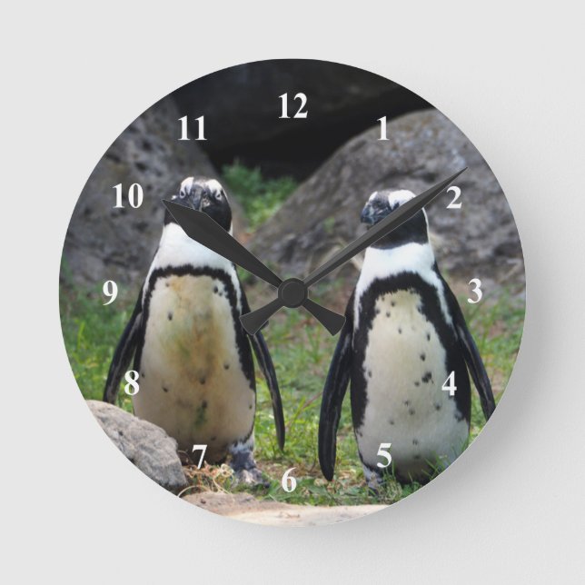 Foto Wildlife Pinguin Pair Runde Wanduhr (Vorderseite)