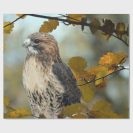 Foto Wildlife Red Tail Hawk Herbst Geschenkpapier