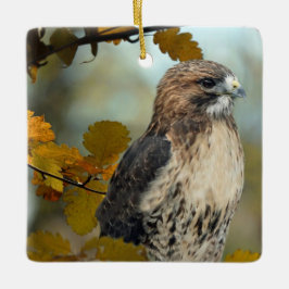 Foto Wildlife Red Tail Hawk Herbst Keramikornament