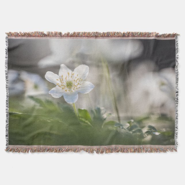 Foto Windblume Decke (Vorderseite)